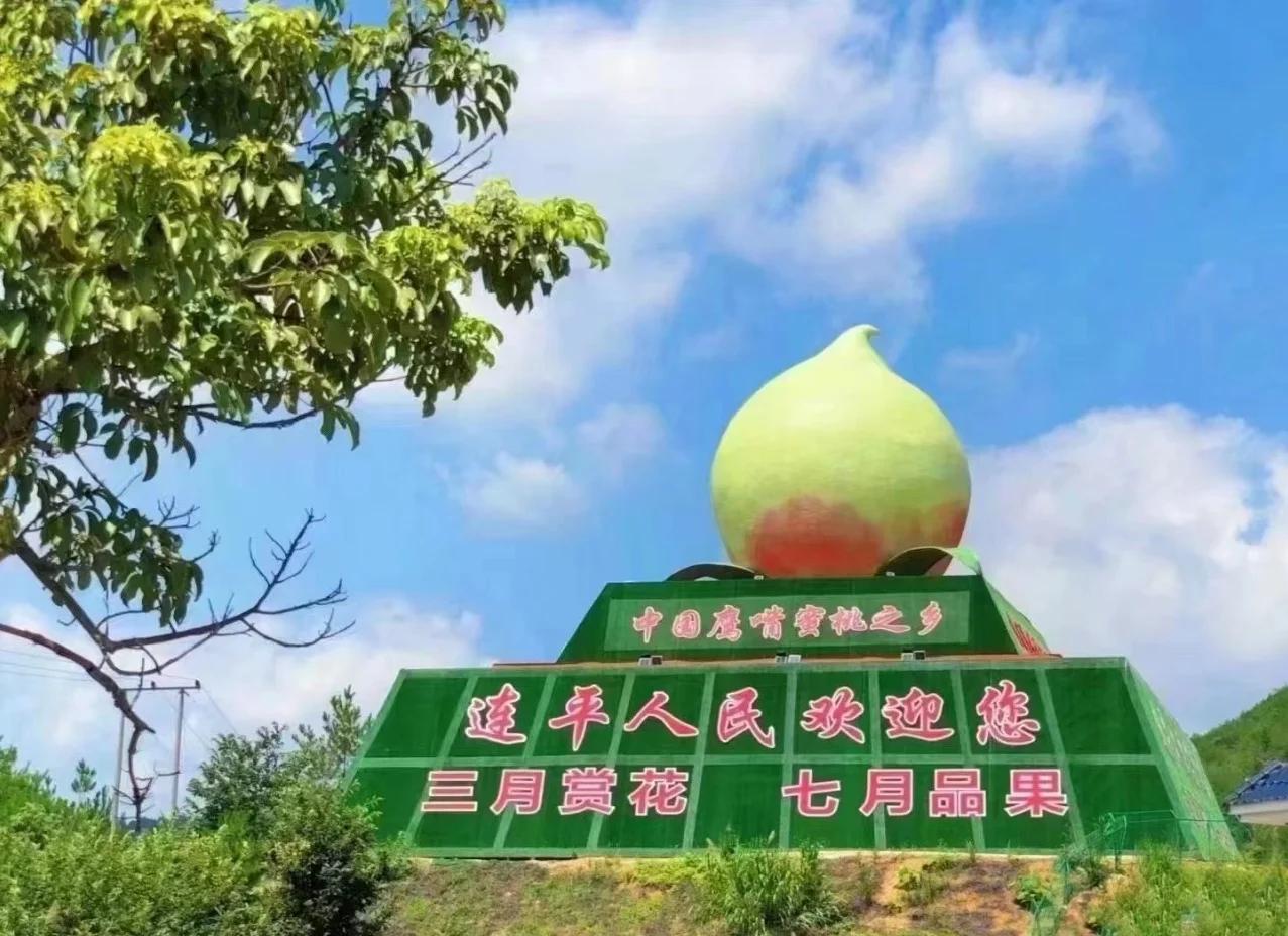 连平桃.jpeg 连平桃.jpeg