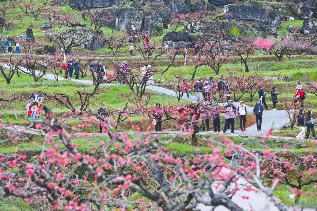 0f0c258f9af6ff2a0d7c6229fa5310a0.jpeg 0f0c258f9af6ff2a0d7c6229fa5310a0.jpeg